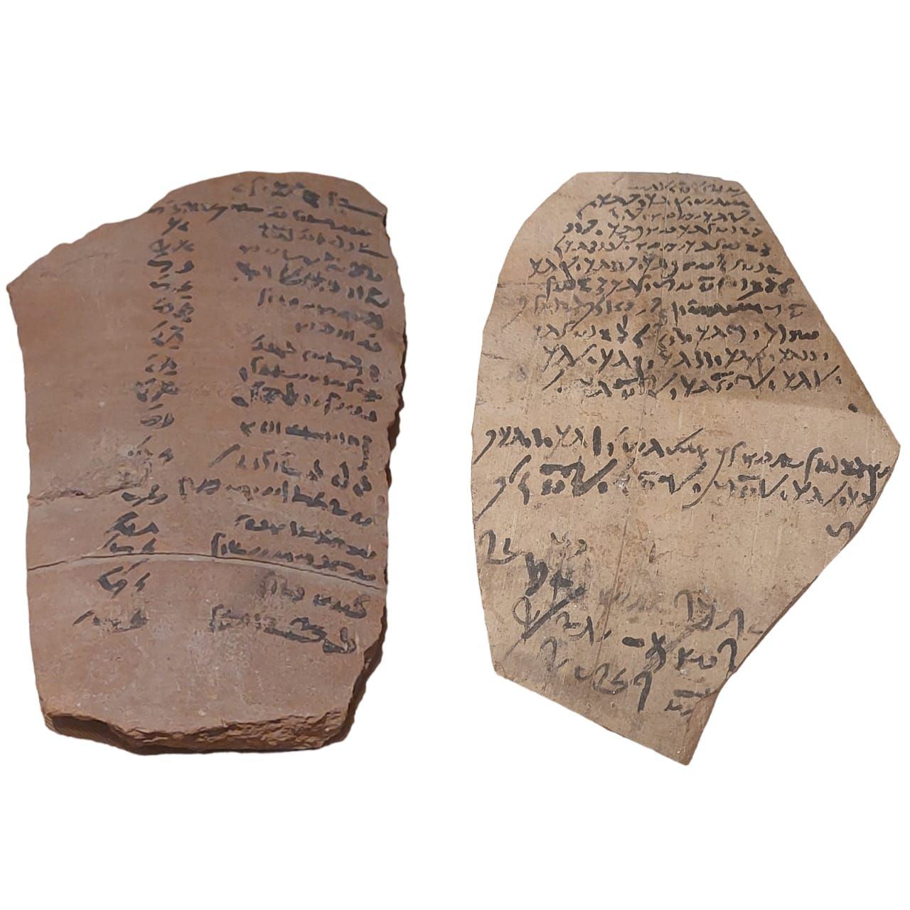 WhatsApp Image 2026-01-04 at 10.55.16 AM (2) WhatsApp Image 2026-01-04 at 10.55.16 AM (2)