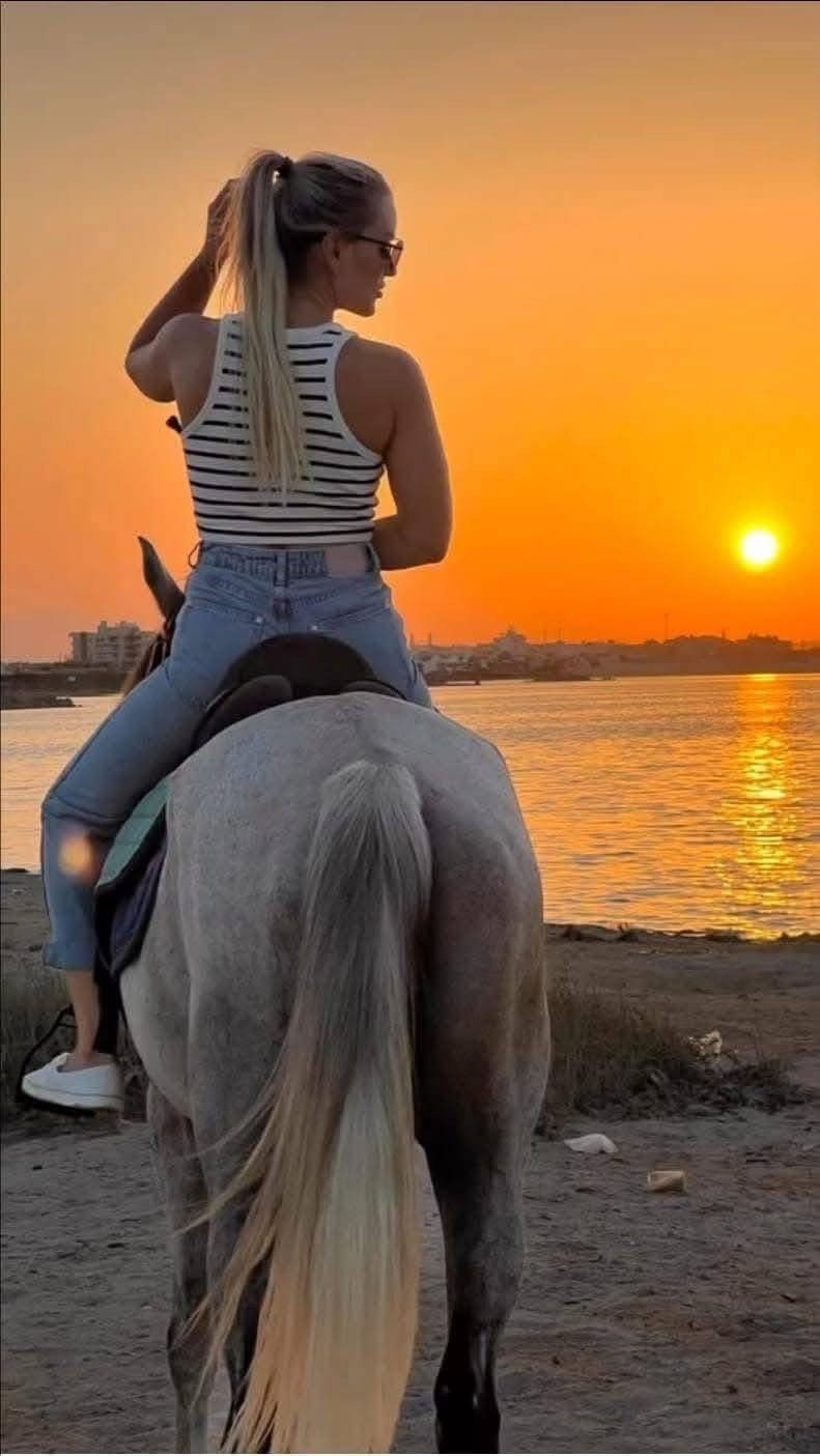 الرحلات على شواطئ الغردقة (2) الرحلات على شواطئ الغردقة (2)