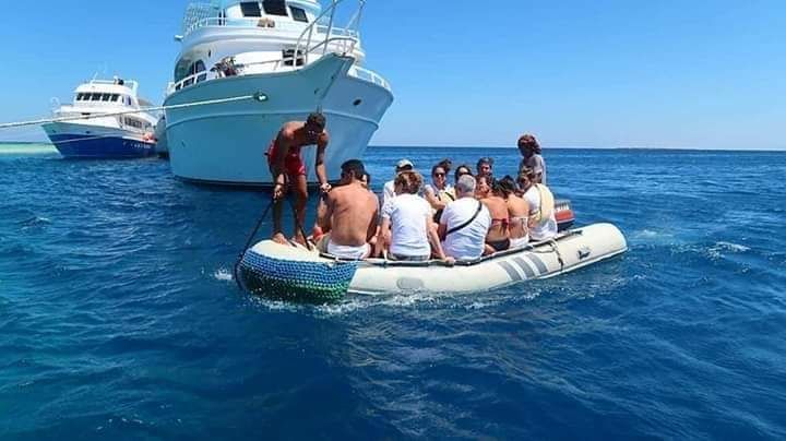 رحلات الدولفين هاوس بمرسى علم