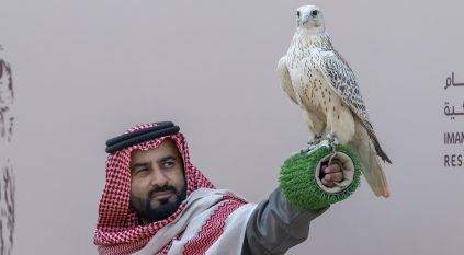 مهرجان الصقور يقيم 6 أشواط للمحترفين المحليين في يومه الثاني