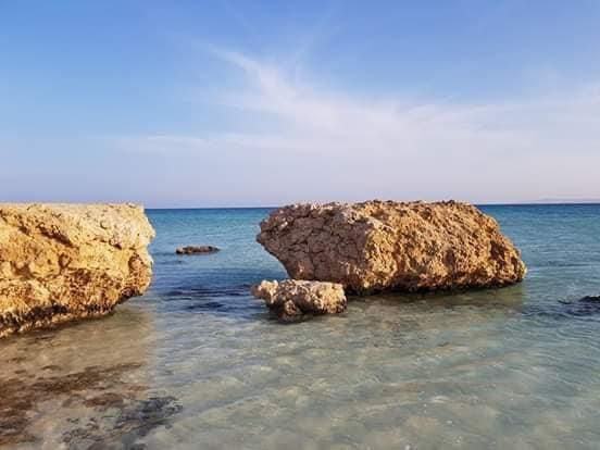 نطاق محمية وادى الجمال