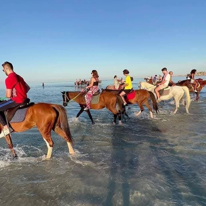 الرحلات على شواطئ الغردقة (1) الرحلات على شواطئ الغردقة (1)