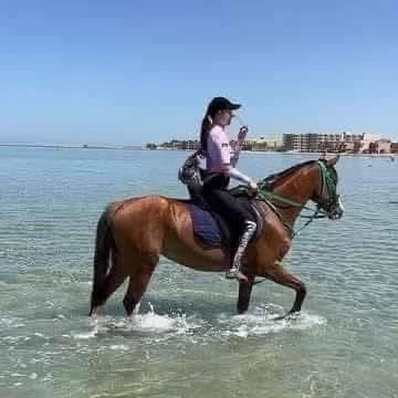 الرحلات على شواطئ الغردقة (3) الرحلات على شواطئ الغردقة (3)