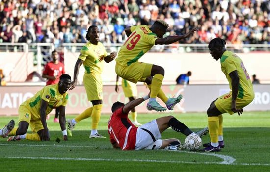 مصر وبنين (20)