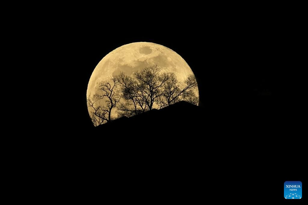 أول قمر عملاق في عام 2026 يظهر في السماء (3)