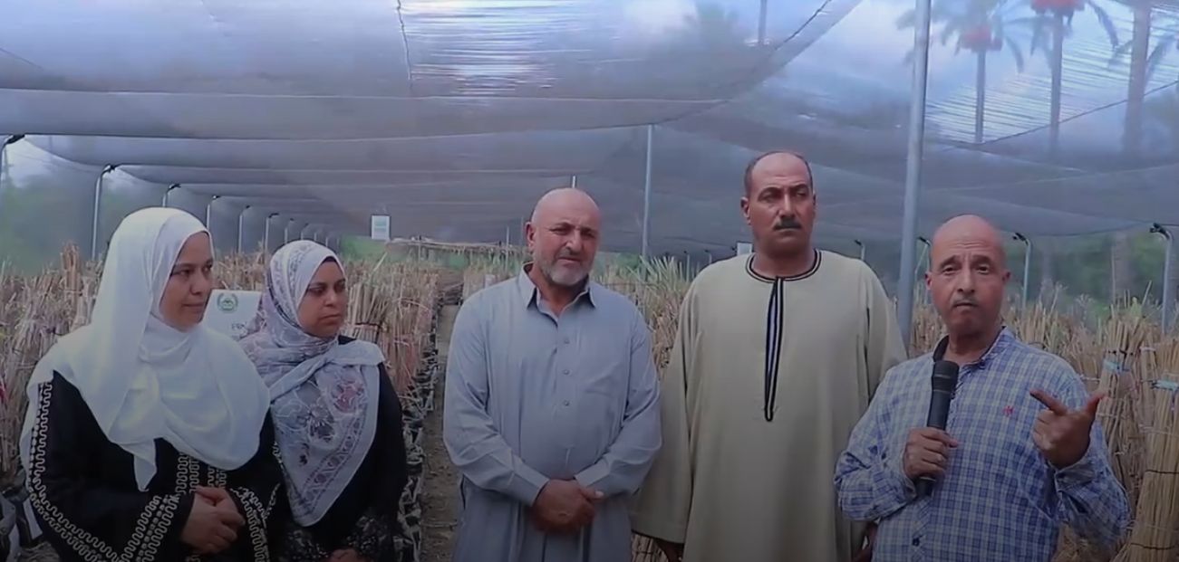 لقاء اليوم السابع بالمزارعين