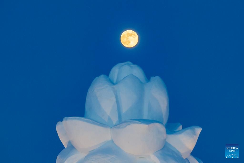 أول قمر عملاق في عام 2026 يظهر في السماء (5) - Copy