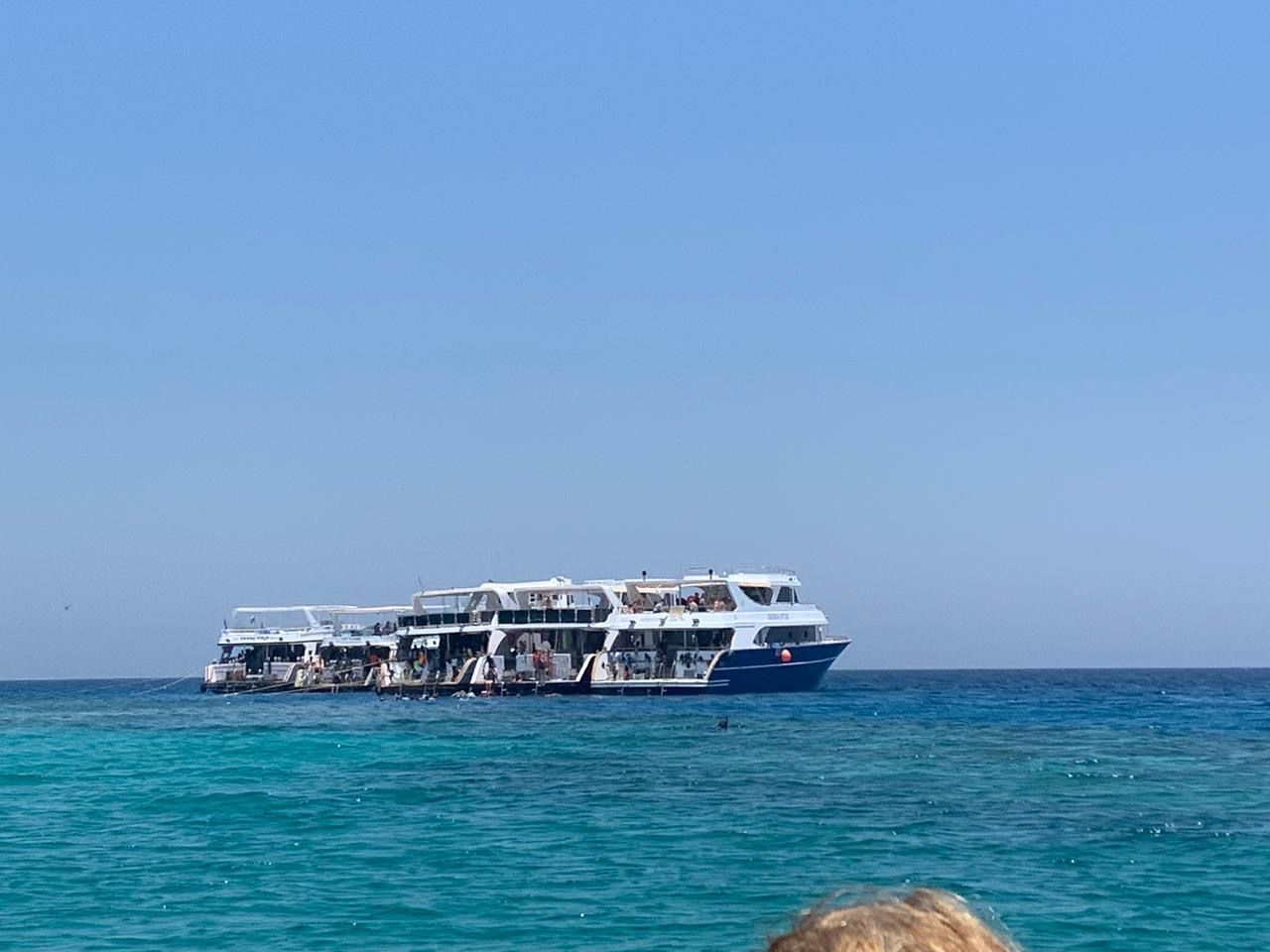 لنشات الديلى اليومي