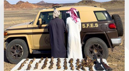 القبض على مخالفين بحوزتهما 49 كائنًا فطريًا مصيدًا في المدينة المنورة