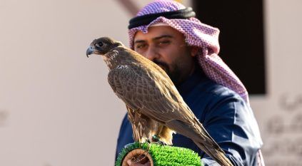 ختام منافسات الملاك الدوليين بمهرجان الملك عبدالعزيز للصقور 2025