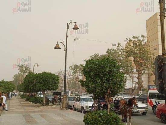 عاصفة-ترابية