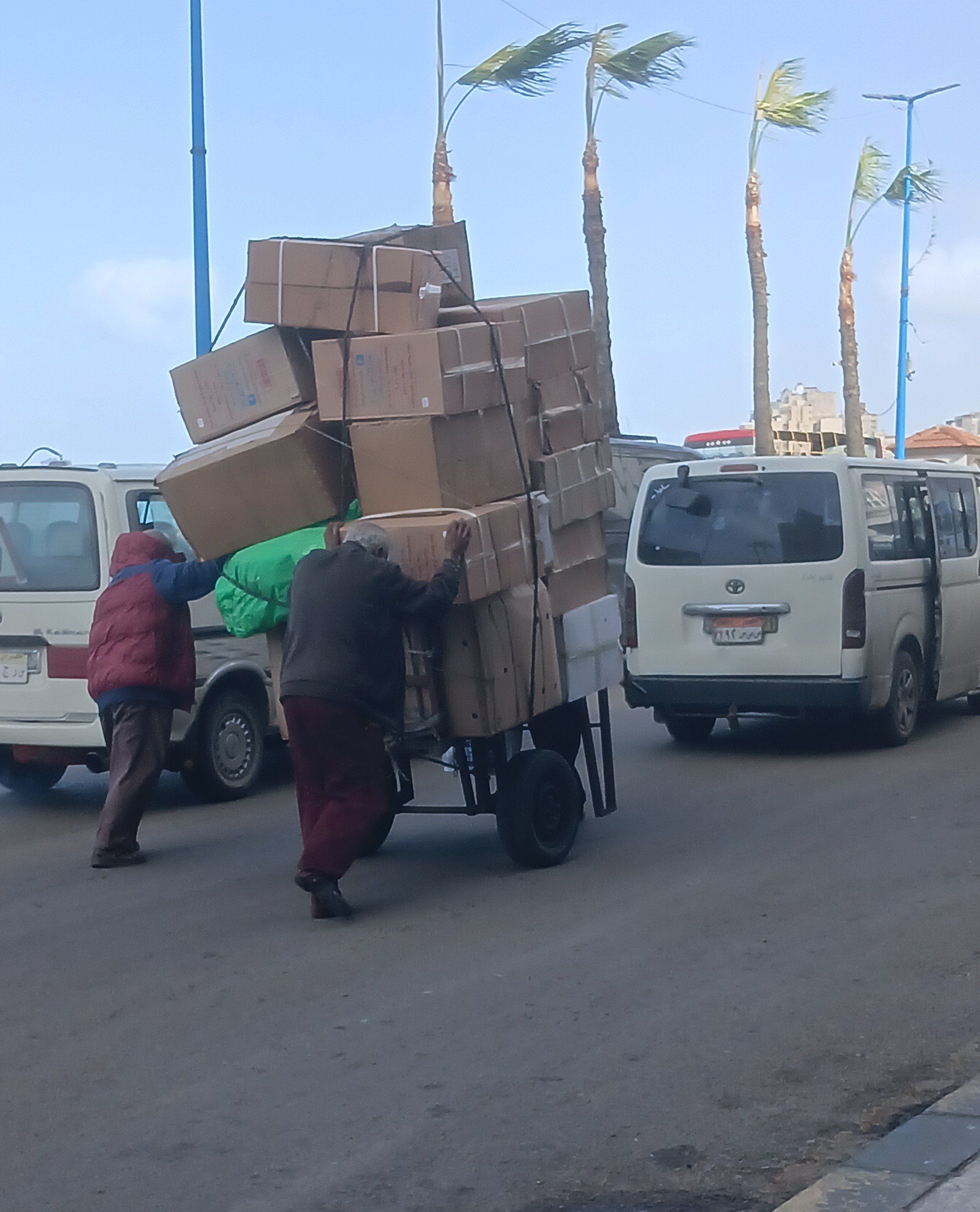 عمال التحميل تحت ظروف الأحوال الجوية بالإسكندرية عمال التحميل تحت ظروف الأحوال الجوية بالإسكندرية