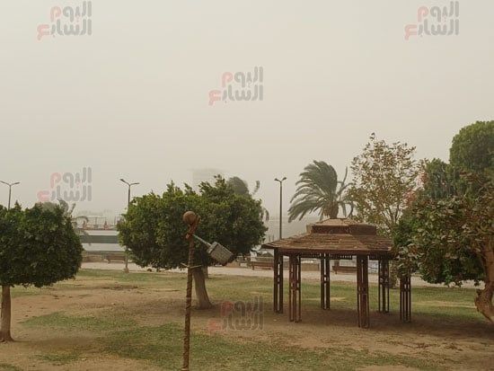 عاصفة-ترابية-مفاجئة