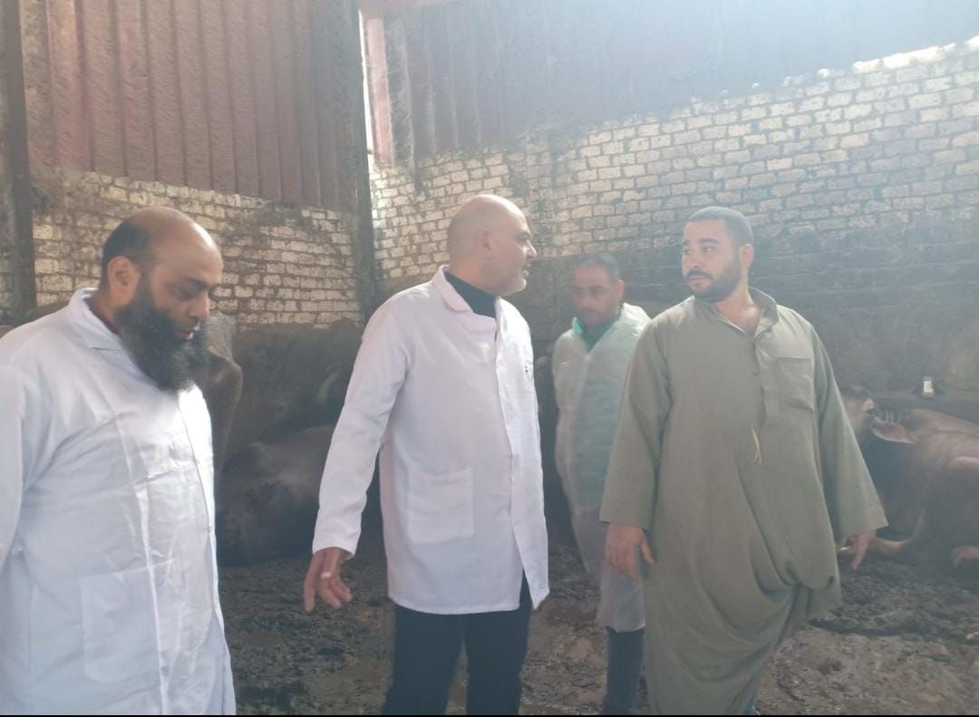 حملات التحصين بالقليوبية حملات التحصين بالقليوبية