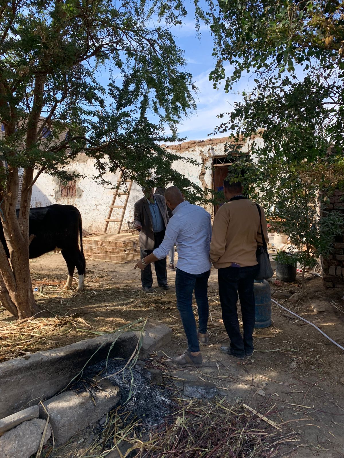 مراجعة أوضاع التوصيلات المنزلية والتجارية والوصلات غير القانونية بالأقصر