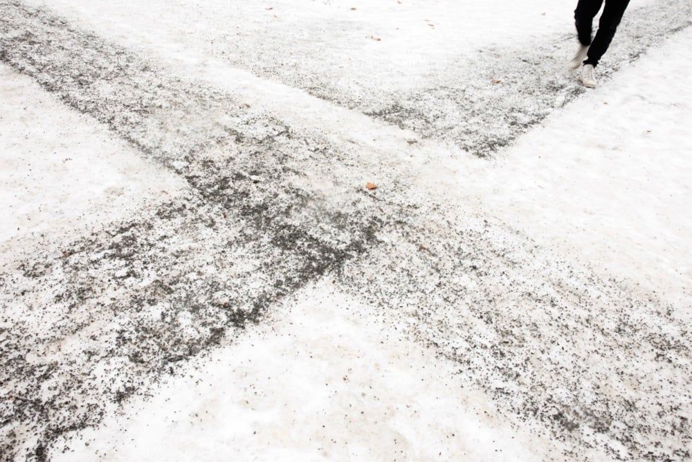 الطقس الشتوي في برلين (6)