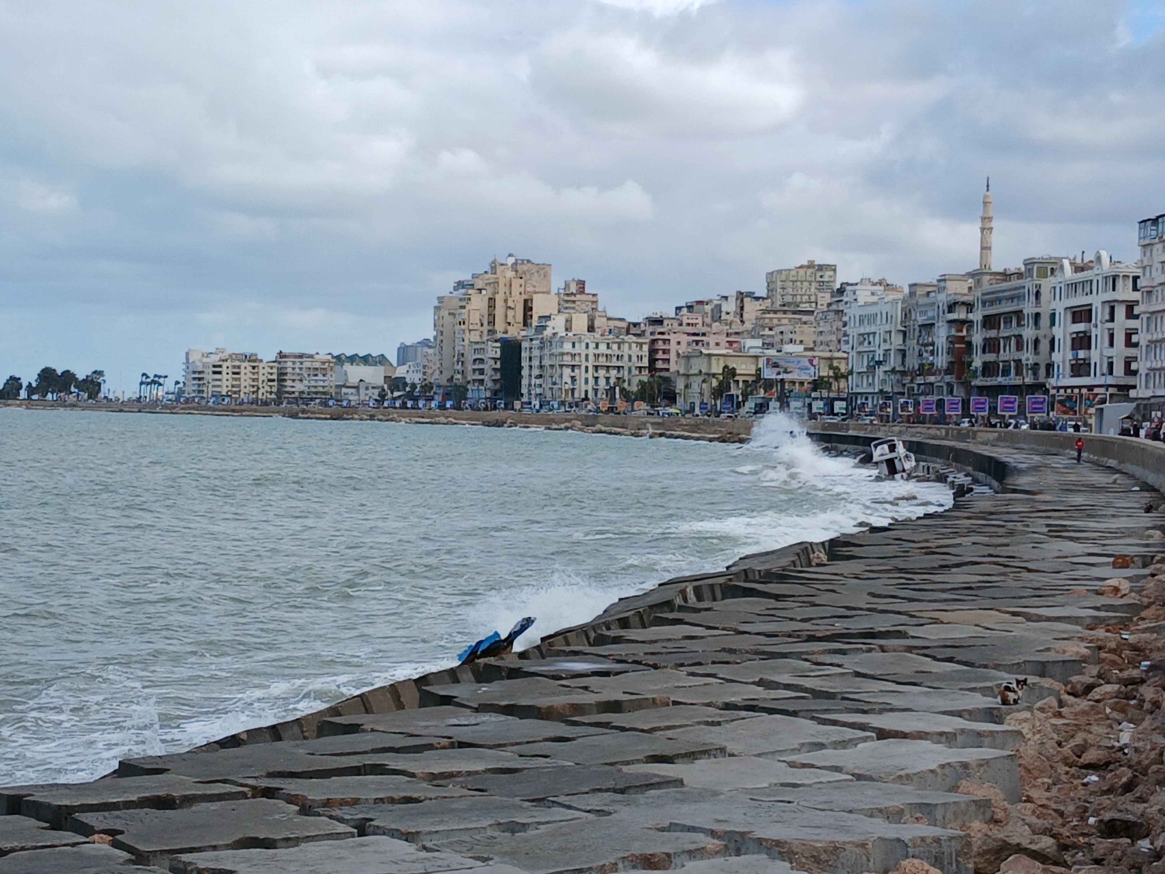 الطقس في الإسكندرية اليوم