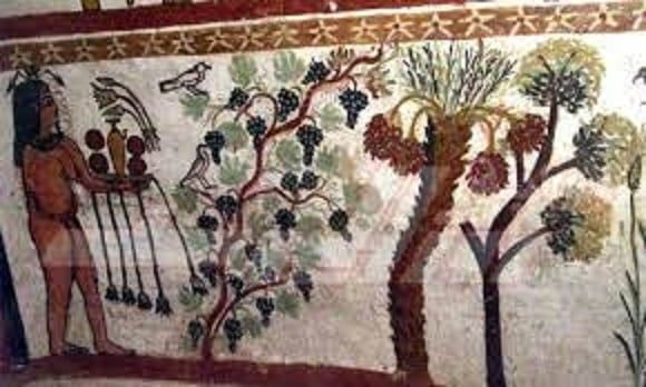 جانب من رسومات المقبرة