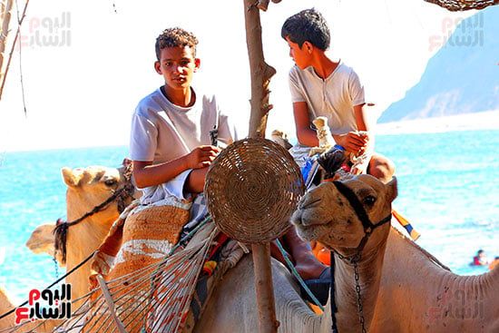 رحلات السفارى فى مدينة دهب (20)