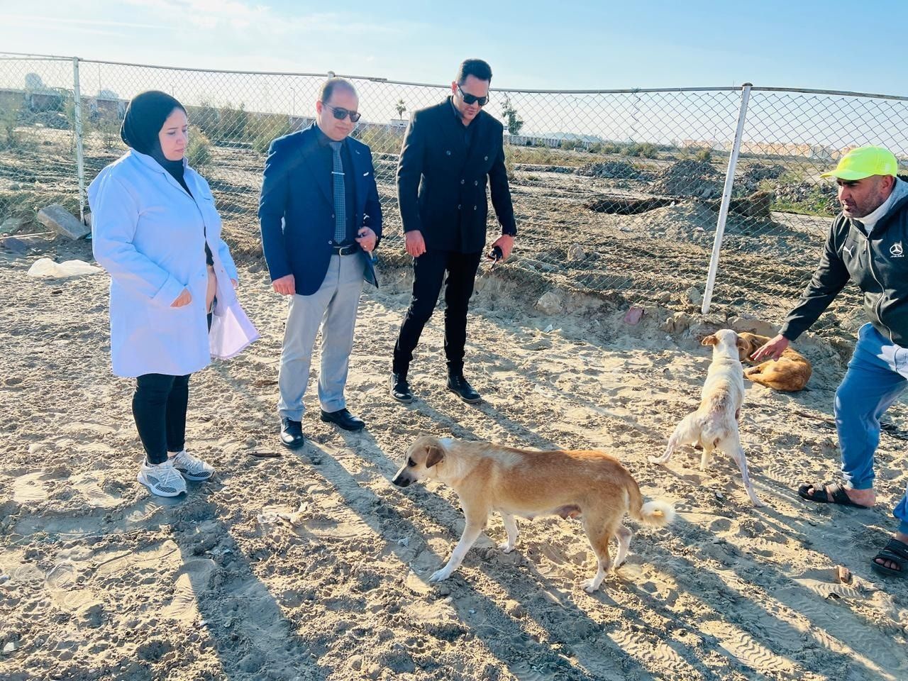 مركز إيواء الكلاب الحرة بجمصة.. حل إنساني لمواجهة الظاهرة وحماية المواطنين