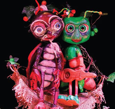 عرض النمل والسلام من تونس