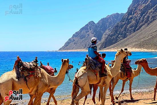 رحلات السفارى فى مدينة دهب (6)