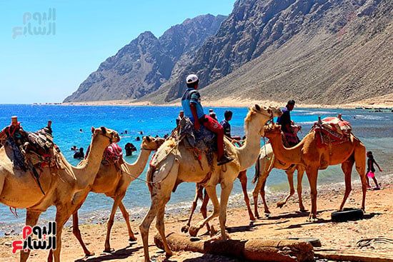 رحلات السفارى فى مدينة دهب (8)