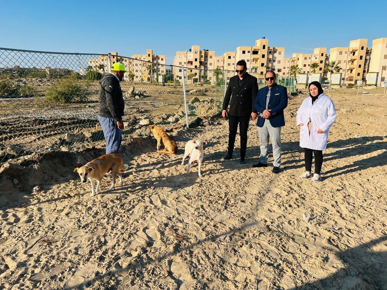 موقع مركز إيواء الكلاب الحرة بجمصة