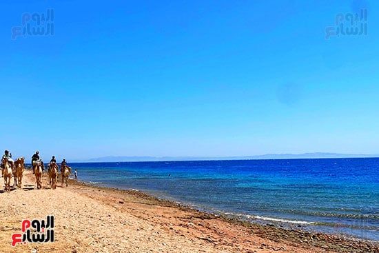 رحلات السفارى فى مدينة دهب (12)