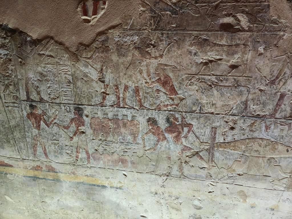 النقوش التاريخية فى مقبرة طيبة تيبانا 39 في البر الغربى