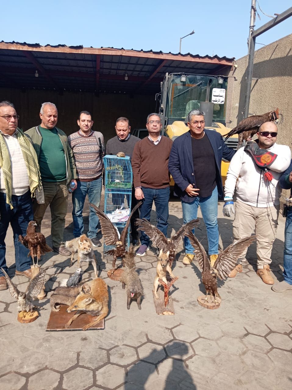 قطاع المحميات الطبيعية يبحث إمكانية إنشاء معرض بيئى لمقتنيات المضبوطات من الحيونات والطيور المحنطة