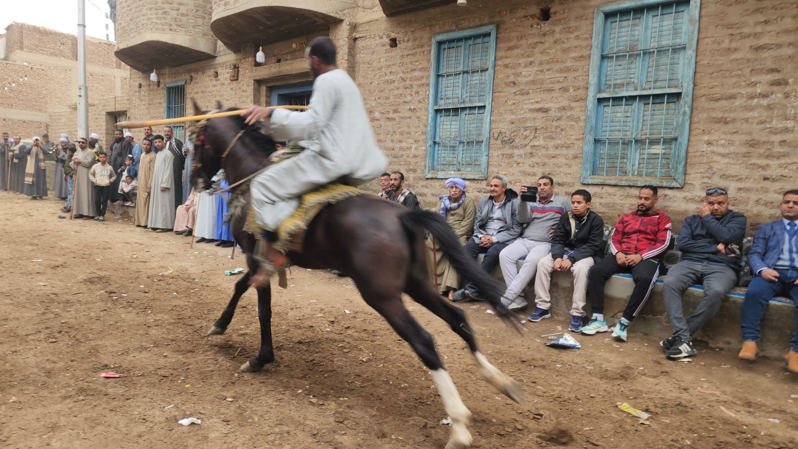 سباقات الخيول بمولد الشيخ العشي شمال الأقصر