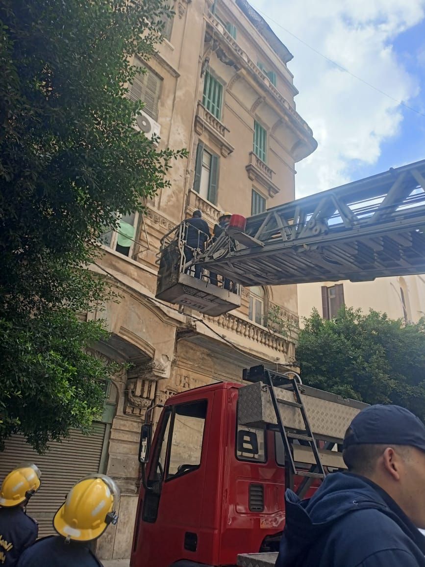 انقاذ بومة انقاذ بومة