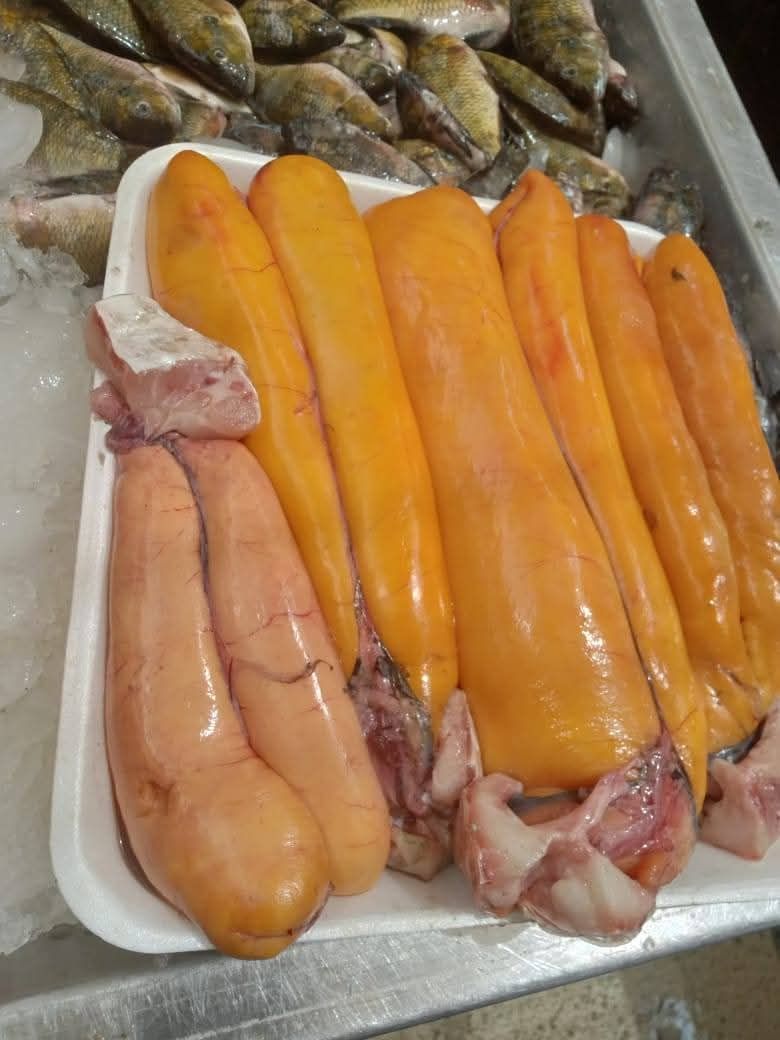 اسماك الفوارغ بأسواق دمياط اسماك الفوارغ بأسواق دمياط