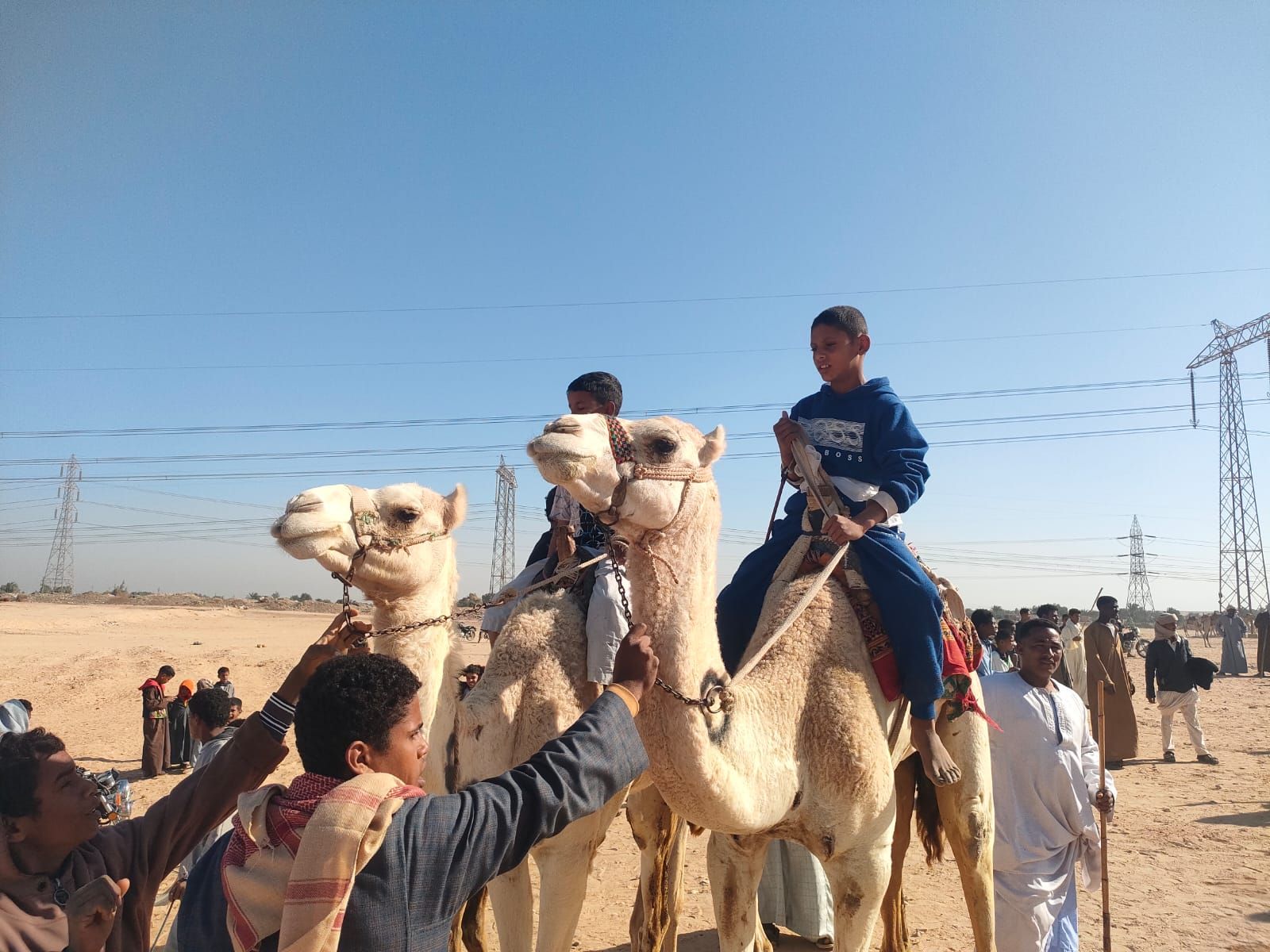 سباقات الهجن تستعد للإنطلاق فى جبال جنوب الأقصر سباقات الهجن تستعد للإنطلاق فى جبال جنوب الأقصر