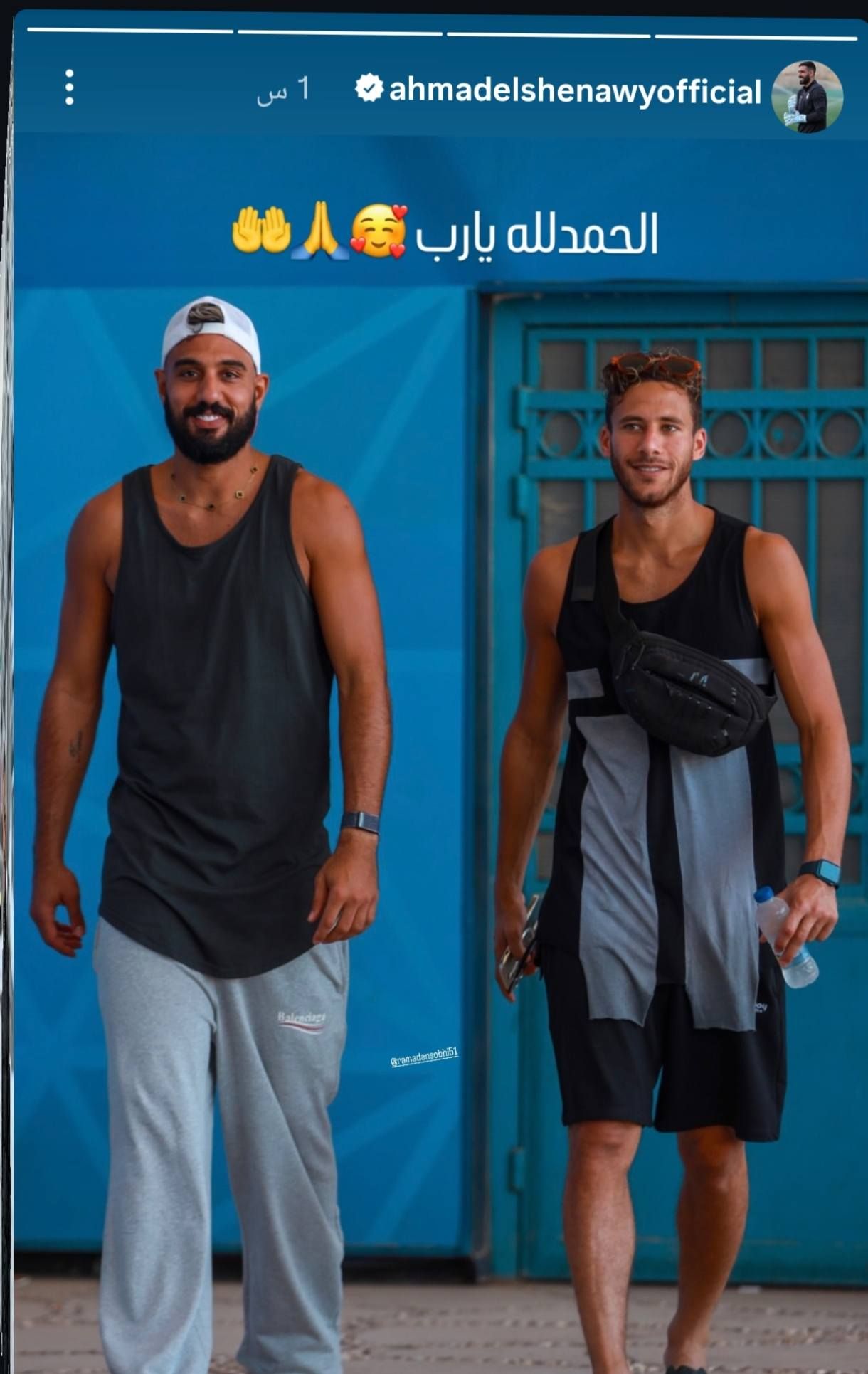 أحمد الشناوي