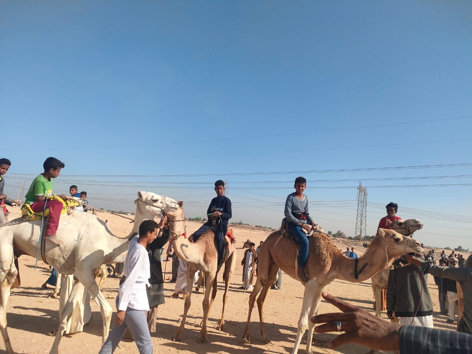 أطفال إسنا يستمتعون بالمشاركة فى سباقات الهجن أطفال إسنا يستمتعون بالمشاركة فى سباقات الهجن