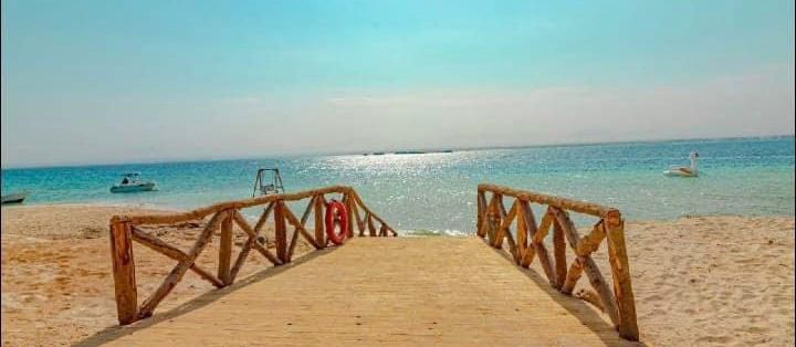 مجاويش افضل جزر،البحر الأحمر مجاويش افضل جزر،البحر الأحمر