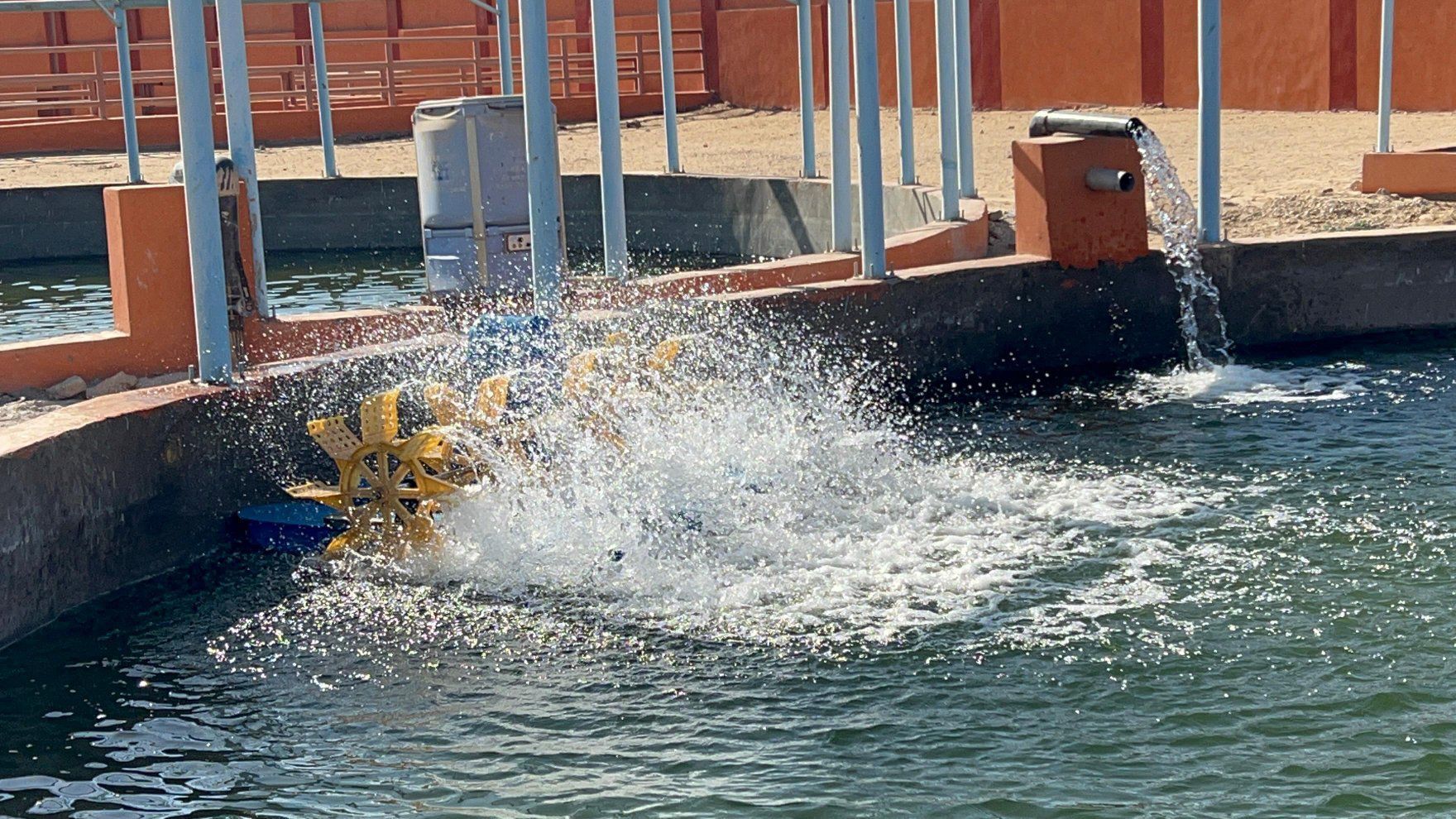 المزرعة النموذجية للإنتاج السمكى والحيوانى بقرية الرزيقات غرب الأقصر