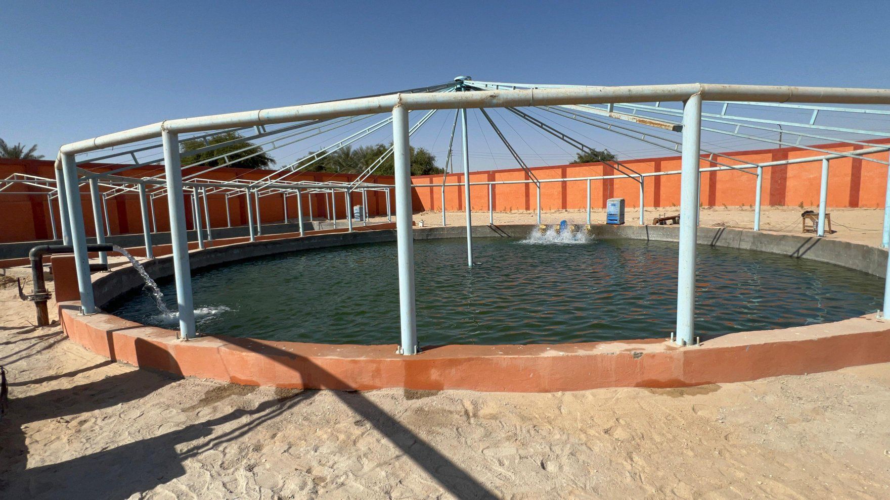 الحياة تظهر فى المزرعة النموذجية للإنتاج السمكى والحيوانى بقرية الرزيقات