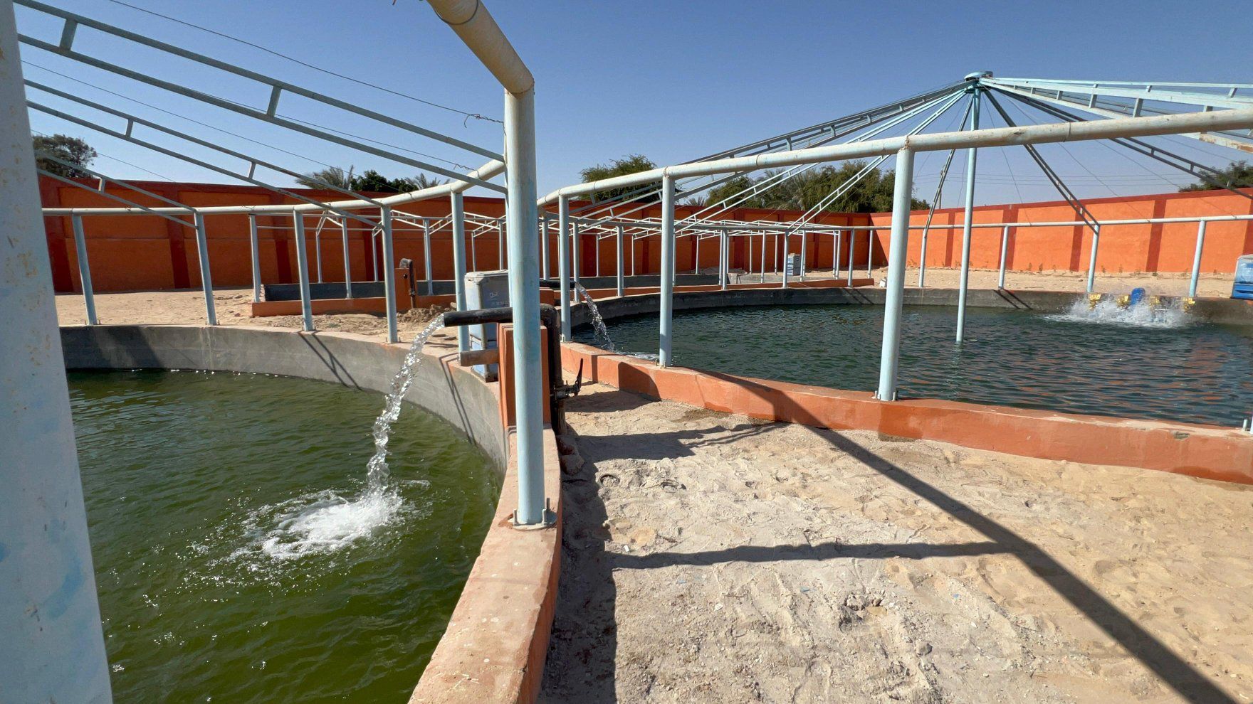 تجهيز المزارع السمكية داخل المزرعة النموذجية بالرزيقات