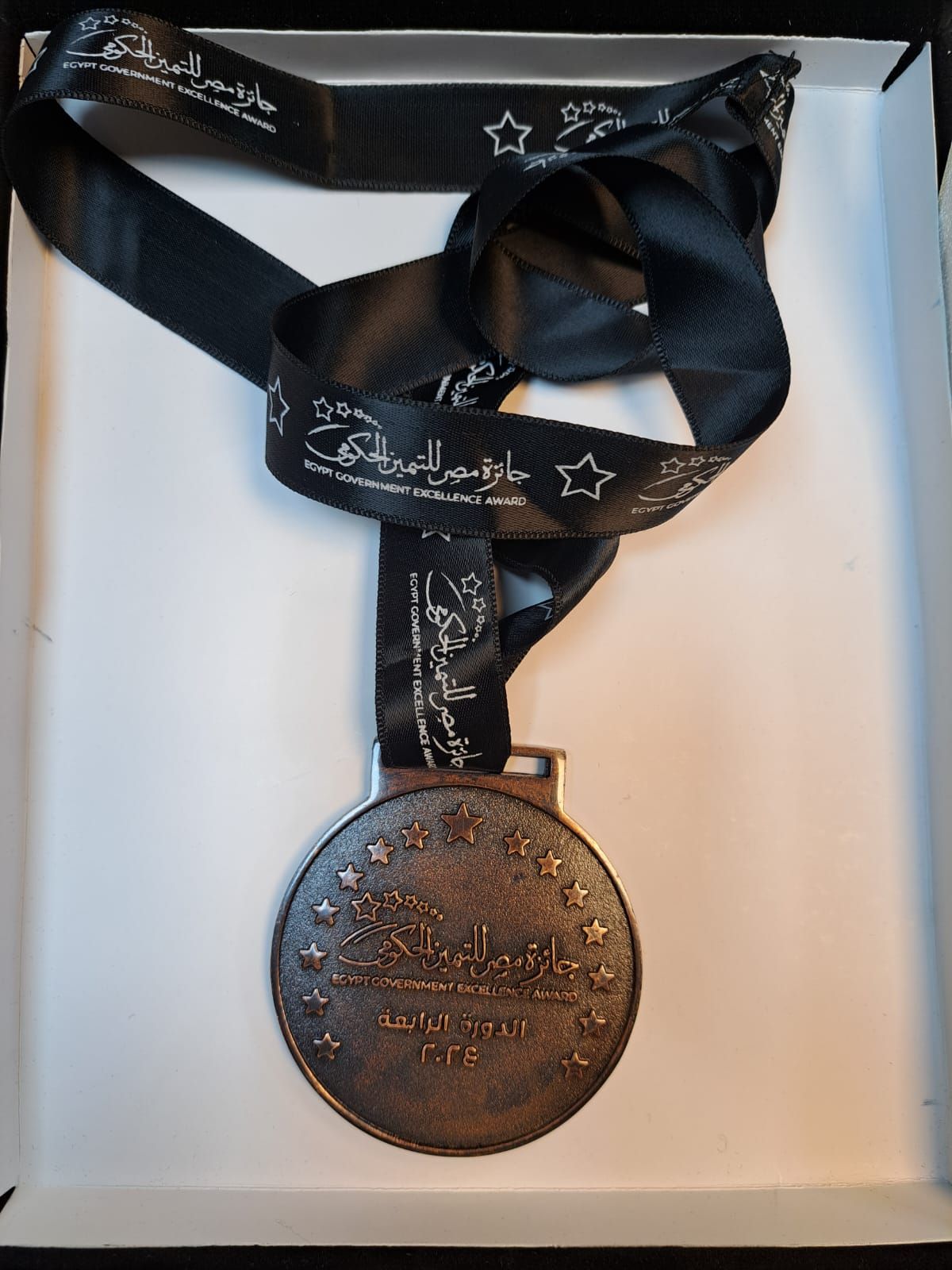 جائزة مصر للتميز الحكومة