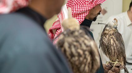 نادي الصقور يواصل جولته الميدانية لتصحيح أوضاع الصقور وتوثيق ملكياتها