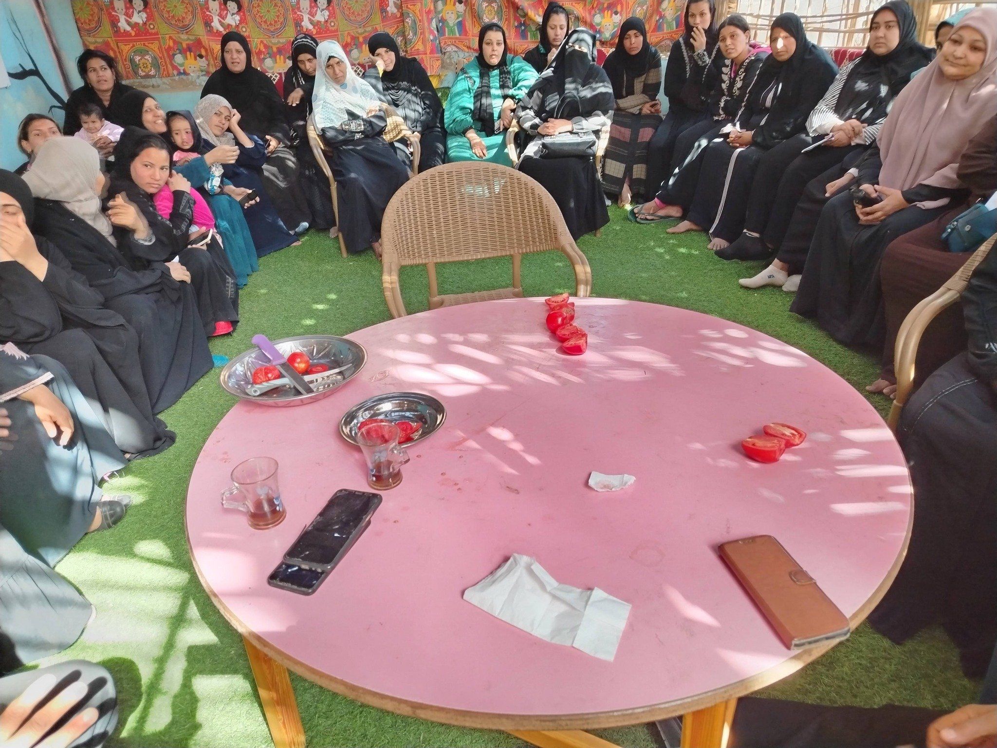 سيدات قرية الرزيقات بحرى يحصلن على تدريبات لتجفيف الطماطم سيدات قرية الرزيقات بحرى يحصلن على تدريبات لتجفيف الطماطم