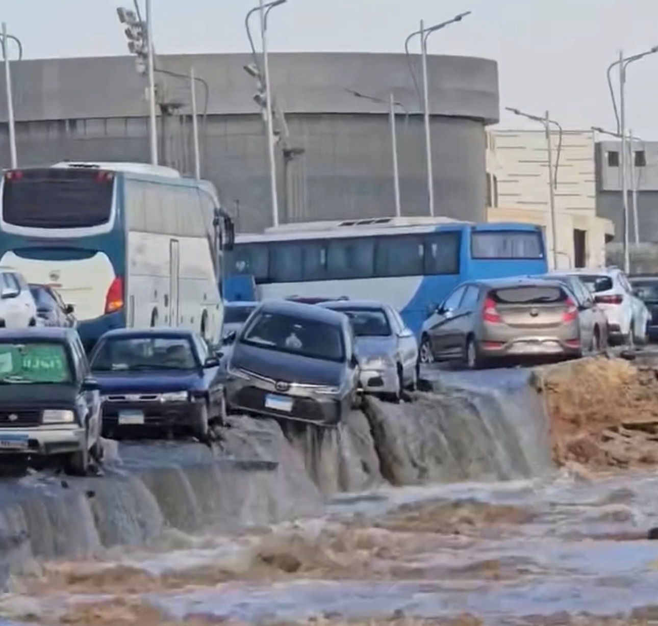 91055677-4e1a-452b-81be-ea0aff24f6a1