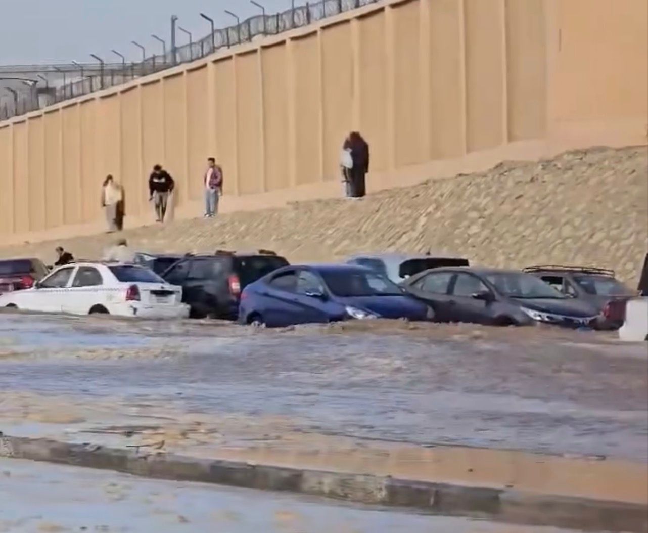 8f089f91-eb08-4bfc-a54f-9e39044af479