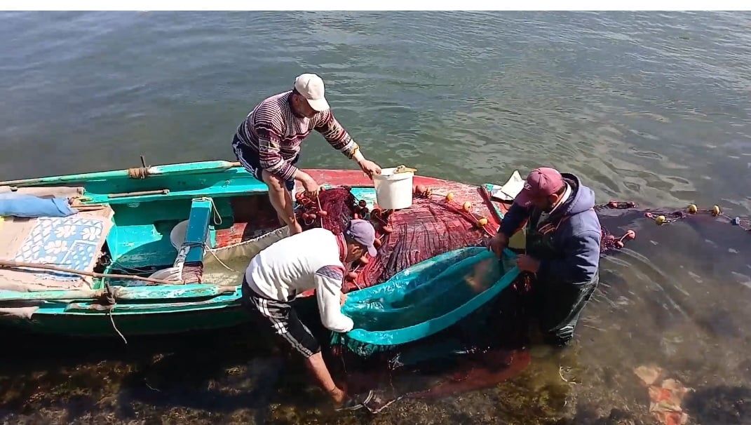 1000434228 صيد الأسماك بالمجداف والشباك في بوغاز عزبة البرج8