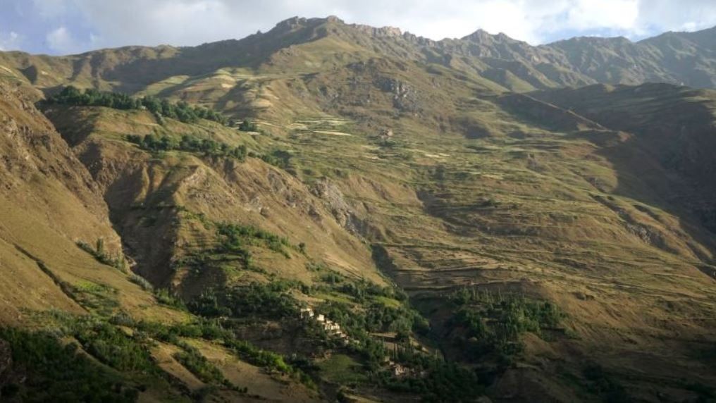 الصيد بالنسور.. رحلة اكتشاف الحياة البرية فى كازاخستان (3) الصيد بالنسور.. رحلة اكتشاف الحياة البرية فى كازاخستان (3)