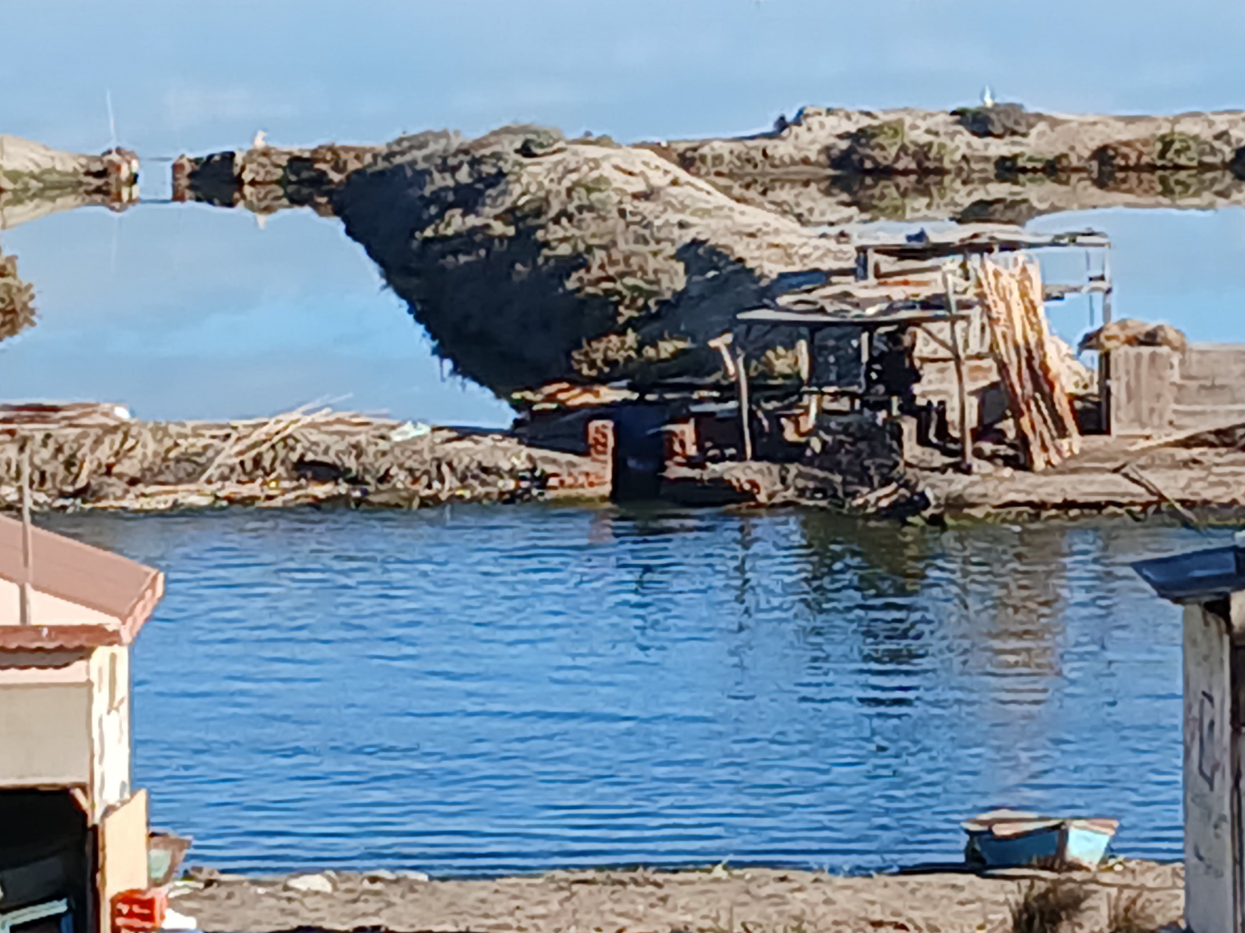 بحيرة المنزلة (2) بحيرة المنزلة (2)