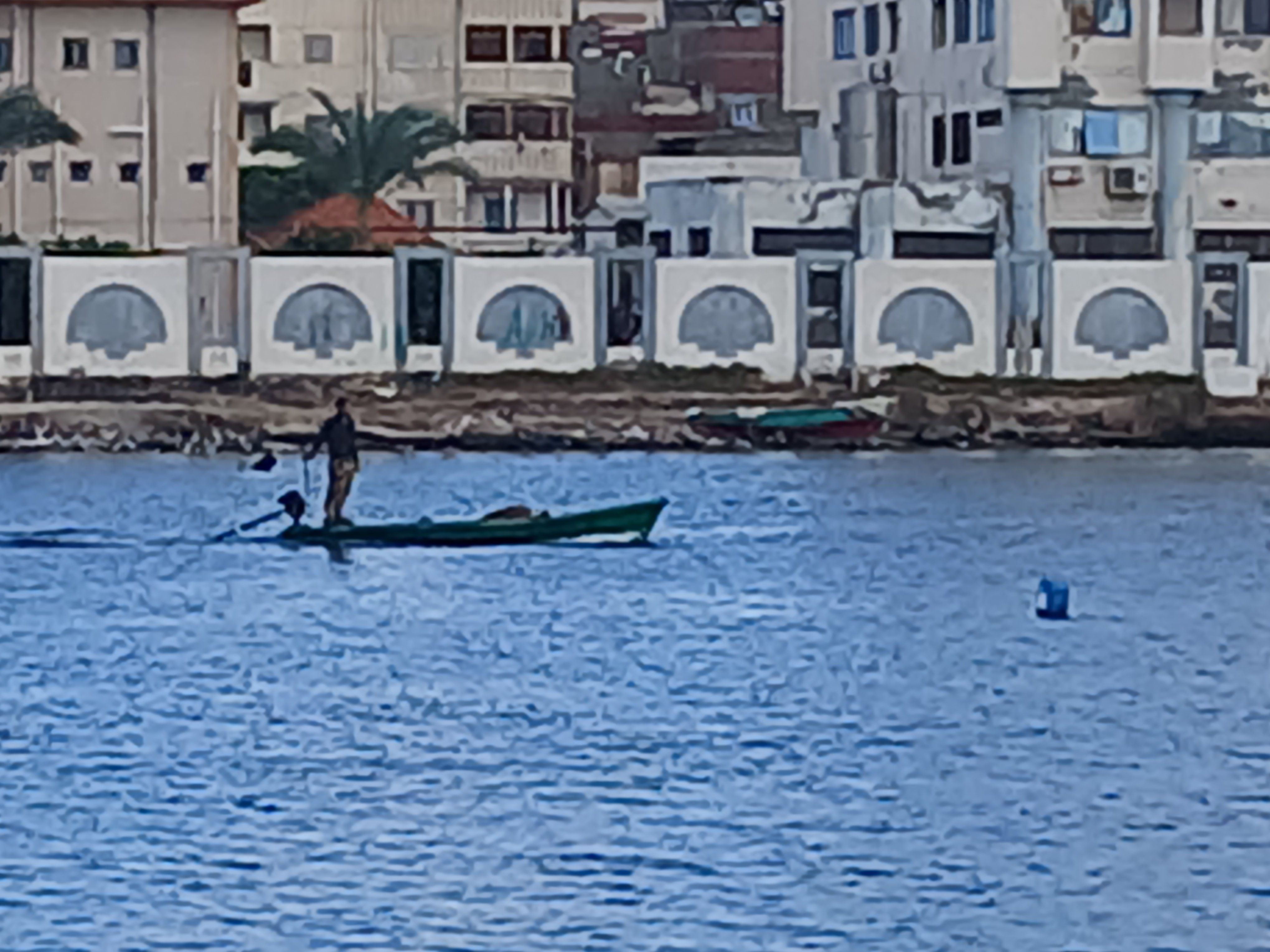 بحيرة المنزلة (1) بحيرة المنزلة (1)